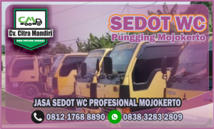 Sedot WC Pungging Mojokerto