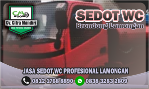 Sedot WC Brondong Lamongan