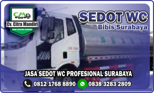 Sedot WC Bibis Surabaya