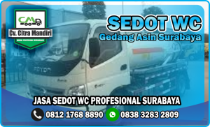 Sedot WC Gedang Asin Surabaya