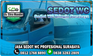 Sedot WC Bringin Surabaya