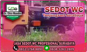 Sedot WC Tanjungsari Surabaya