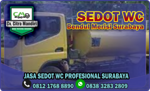 Sedot WC Bendul Merisi Surabaya