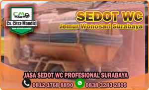 Sedot WC Jemur Wonosari Surabaya