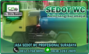 Sedot WC Ketintang Surabaya