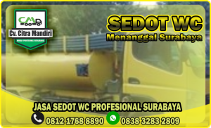 Sedot WC Menanggal Surabaya