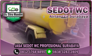 Sedot WC Airlangga Surabaya