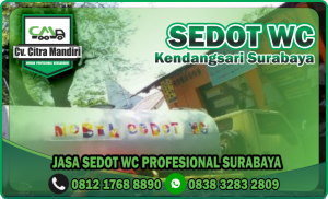 Sedot WC Kendangsari Surabaya