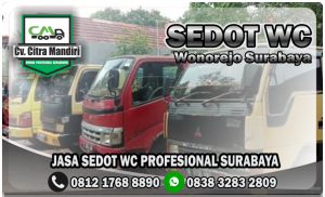 Sedot WC Wonorejo Surabaya