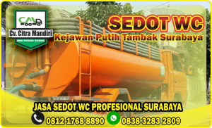 Sedot WC Kejawan Putih Tambak Surabaya
