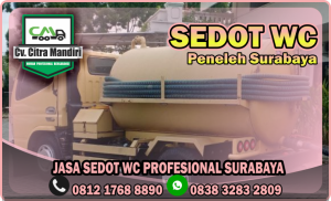 Sedot WC Peneleh Surabaya