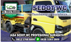 Sedot WC Tambakrejo Surabaya