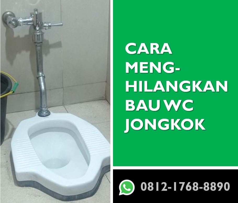 Cara Menghilangkan Bau WC Jongkok