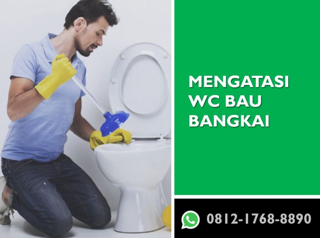 Mengatasi WC Bau Bangkai