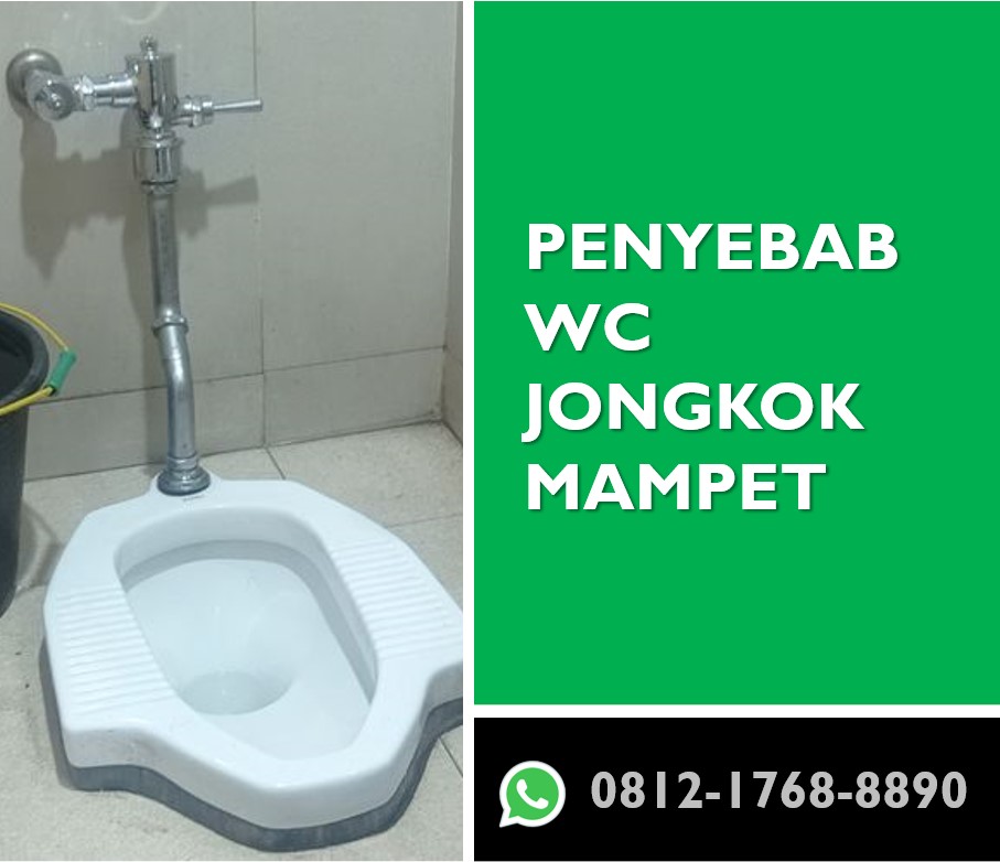Penyebab WC Jongkok Mampet Penyebab WC Jongkok Mampet