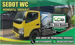 Sedot WC Wonoayu Sidoarjo