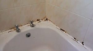 Cara Membersihkan Nat Shower 