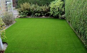 Jenis Rumput Taman Modern Minimalis