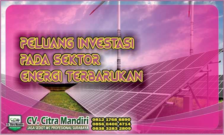 peluang investasi pada sektor energi terbarukan peluang investasi pada sektor energi terbarukan