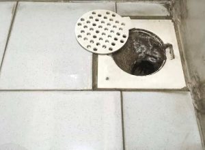 penyebab kamar mandi bau got