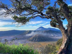 Hotel Mewah Pasuruan Terdekat Gunung Bromo