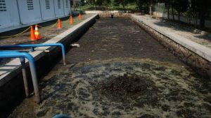 teknologi pengolahan limbah tinja