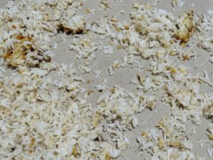 nasi magicom cepat bau